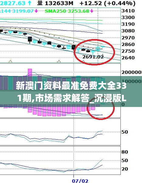 新澳門資料最準(zhǔn)免費(fèi)大全331期,市場需求解答_沉浸版LHZ11.7