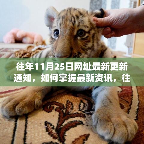 往年11月25日網(wǎng)址更新詳解，掌握最新資訊的方法與途徑解析