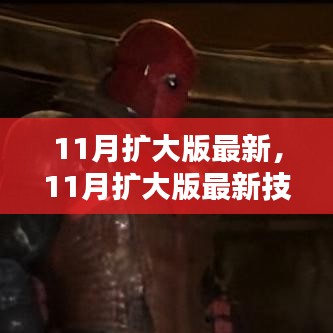 最新11月擴(kuò)大版技能學(xué)習(xí)指南，一步步教你完成任務(wù)