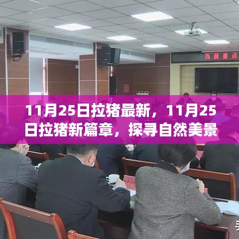 探尋自然美景之旅，11月25日拉豬新篇章，重拾內(nèi)心的寧?kù)o與平和