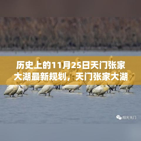 天門張家大湖新規(guī)劃啟航，變革的力量與自信的航道探索歷程