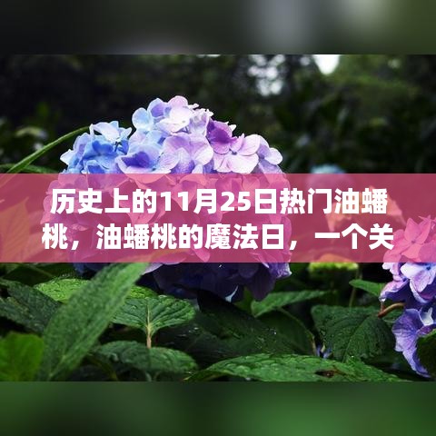 歷史上的油蟠桃魔法日，友情、愛與陪伴的溫馨故事