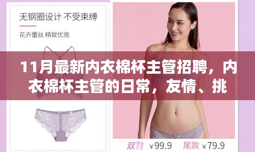 11月內衣棉杯主管招聘，日常、友情、挑戰(zhàn)與家的溫暖