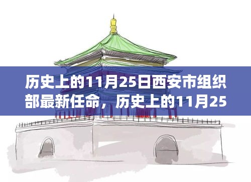 西安市組織部11月25日最新任命詳解，從零開始的指南