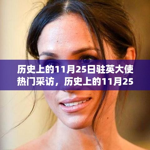歷史上的11月25日，駐英大使熱門采訪深度解讀