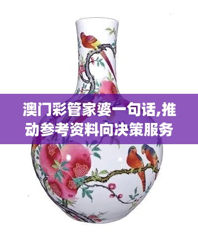 澳門彩管家婆一句話,推動參考資料向決策服務(wù)_多媒體版DKX13.17