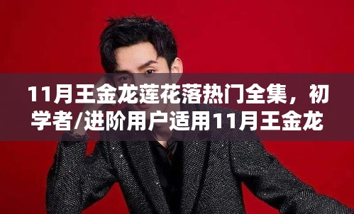 王金龍蓮花落熱門全集學習指南，初學者與進階者的首選