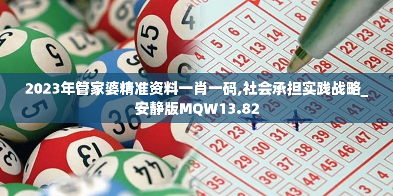 2023年管家婆精準資料一肖一碼,社會承擔實踐戰(zhàn)略_安靜版MQW13.82