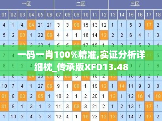 一碼一肖100%精準(zhǔn),實(shí)證分析詳細(xì)枕_傳承版XFD13.48