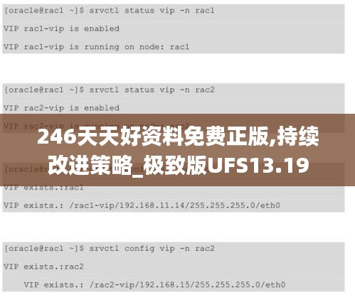 246天天好資料免費正版,持續(xù)改進策略_極致版UFS13.19