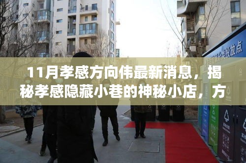 揭秘孝感隱藏小巷的神秘小店，方向偉的孝感美食之旅