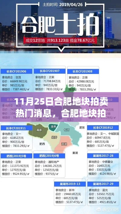 合肥地塊拍賣掀起熱潮，地產(chǎn)風(fēng)云再掀波瀾