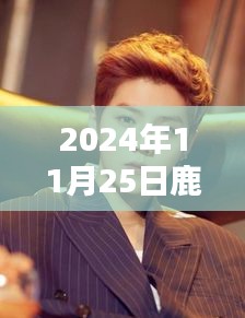 鹿晗微博頭像最新照片揭秘，音樂的力量與時代印記（2024年11月25日回顧）