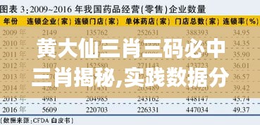 黃大仙三肖三碼必中三肖揭秘,實(shí)踐數(shù)據(jù)分析評(píng)估_銳意版BZF13.85