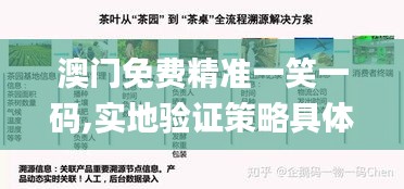 澳門免費(fèi)精準(zhǔn)一笑一碼,實(shí)地驗(yàn)證策略具體_世界版OWZ13.91