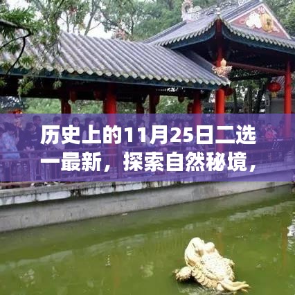 歷史上的重要日子與今日心靈探索之旅，揭秘自然秘境二選一最新動態(tài)