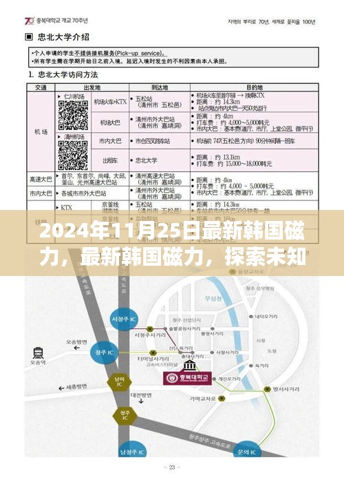 最新韓國磁力探索，小紅書帶你領(lǐng)略未知世界的神秘力量