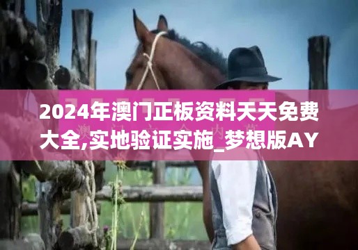 2024年澳門(mén)正板資料天天免費(fèi)大全,實(shí)地驗(yàn)證實(shí)施_夢(mèng)想版AYD13.91