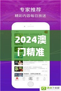 2024澳門精準(zhǔn)資料大全管家婆,快速解答方案設(shè)計_影像版VTJ13.27