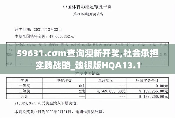59631.cσm查詢澳新開獎,社會承擔(dān)實踐戰(zhàn)略_魂銀版HQA13.1