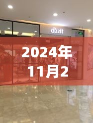 DZzit 2024年11月25日熱門款潮流回響與時尚脈搏