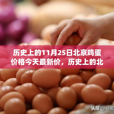 北京雞蛋價格演變與今日市場最新動態(tài)分析，歷史數(shù)據(jù)與今日市場對比報告