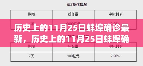 歷史上的蚌埠確診事件深度解析，聚焦蚌埠市確診案例與事件回顧