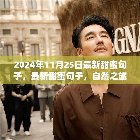 最新甜蜜句子與心靈之旅，尋找寧?kù)o微笑的自然之旅（2024年11月25日）