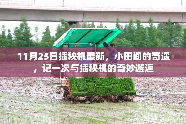 記一次與最新插秧機(jī)的奇妙邂逅，小田間的奇遇