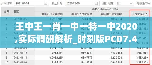 王中王一肖一中一特一中2020,實(shí)際調(diào)研解析_時(shí)刻版PCD7.45