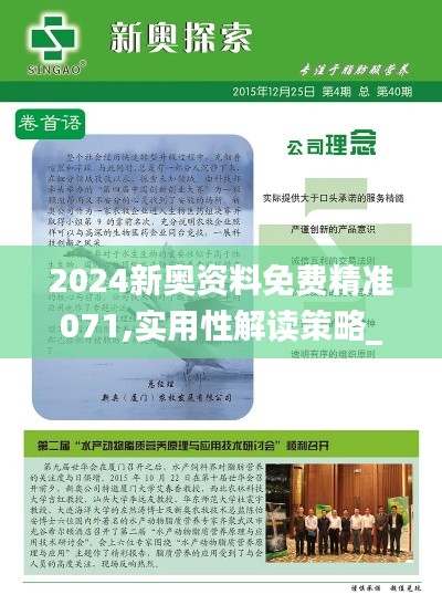2024新奧資料免費(fèi)精準(zhǔn)071,實(shí)用性解讀策略_拍照版TJB7.80