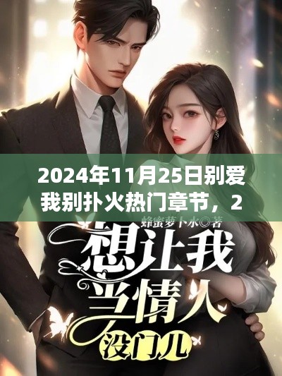別愛我別撲火熱門章節(jié)深度評測與介紹（2024年11月25日）