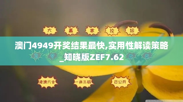 澳門4949開獎(jiǎng)結(jié)果最快,實(shí)用性解讀策略_知曉版ZEF7.62