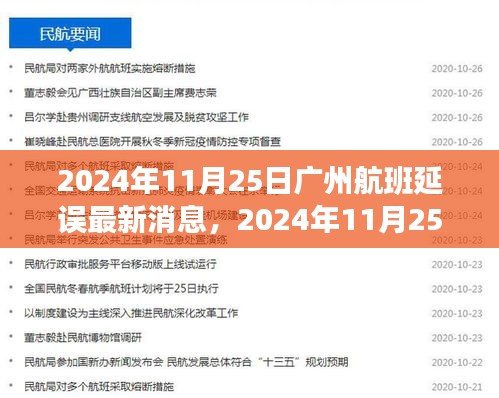 2024年11月25日廣州航班延誤最新消息及應(yīng)對(duì)指南，旅客如何應(yīng)對(duì)延誤情況獲取最新消息