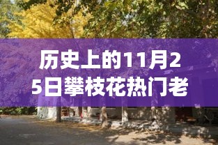 探秘攀枝花小巷傳奇老賴店，歷史與美食的雙重魅力之旅（附日期揭秘）