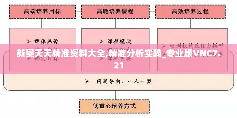 新奧天天精準資料大全,精準分析實踐_專業(yè)版VNC7.21