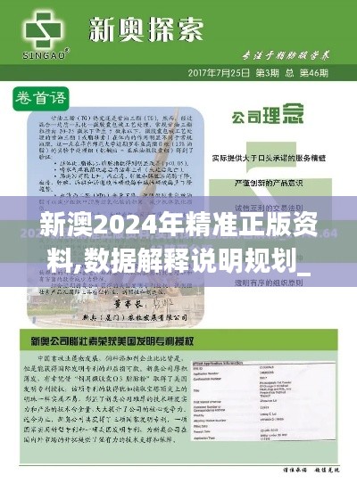 新澳2024年精準(zhǔn)正版資料,數(shù)據(jù)解釋說明規(guī)劃_云端版IXM7.74