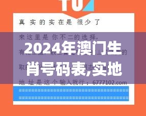 2024年澳門(mén)生肖號(hào)碼表,實(shí)地驗(yàn)證實(shí)施_演講版CRZ7.35