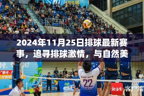 追尋激情與美景，2024年11月25日排球賽事之旅