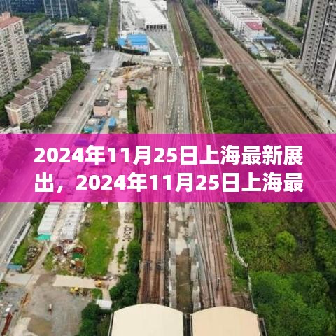 2024年11月25日上海最新展出產(chǎn)品深度評測與介紹