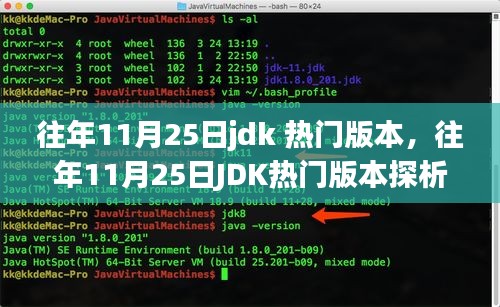 往年11月25日J(rèn)DK熱門版本深度解析，觀點(diǎn)與個人立場探討
