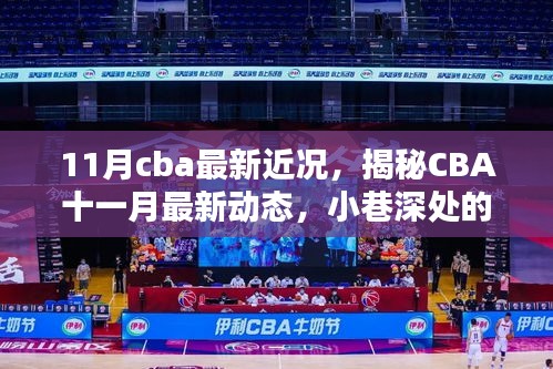 揭秘CBA十一月最新動(dòng)態(tài)，籃球風(fēng)尚與獨(dú)特小店探秘