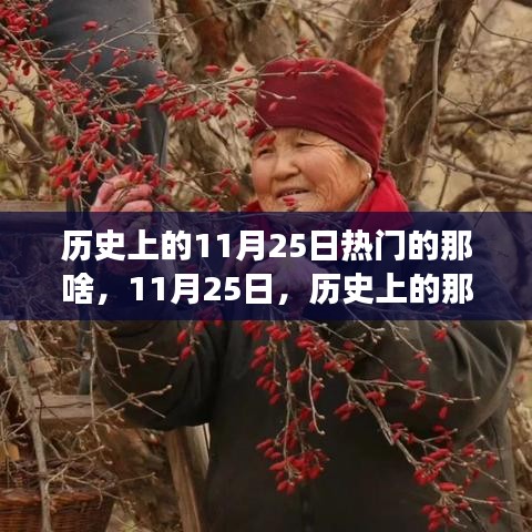 歷史上的溫馨趣事與深厚友情，聚焦11月25日的那些精彩瞬間