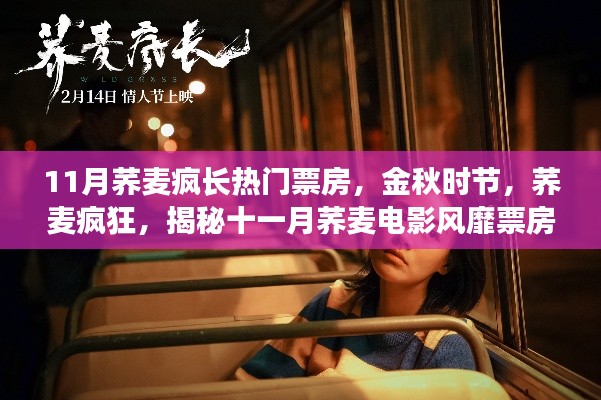 揭秘十一月蕎麥電影風(fēng)靡背后的故事，金秋時節(jié)蕎麥瘋狂引領(lǐng)票房熱潮