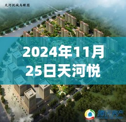 天河悅城最新動態(tài)，2024年11月25日的溫馨日常與趣事