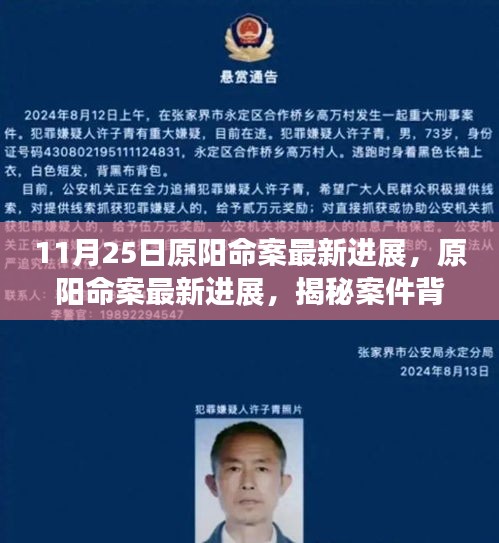 揭秘原陽命案最新進展，案件背后的故事浮出水面