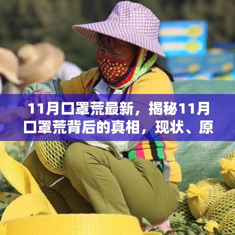 揭秘，11月口罩荒背后的真相——現(xiàn)狀、原因及應(yīng)對策略全解析
