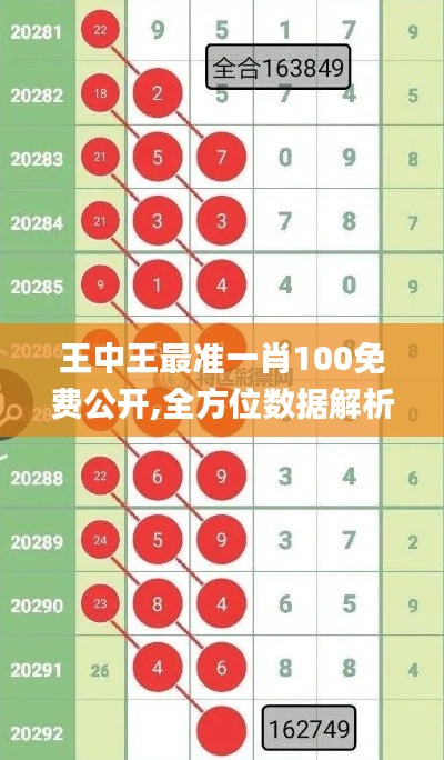 王中王最準一肖100免費公開,全方位數(shù)據(jù)解析表述_線上版WDK13.51