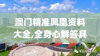 澳門精準(zhǔn)鳳凰資料大全,全身心解答具體_校園版UZJ13.76