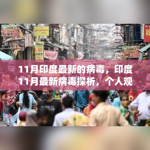 印度11月最新病毒探析，個(gè)人觀點(diǎn)與深度剖析
